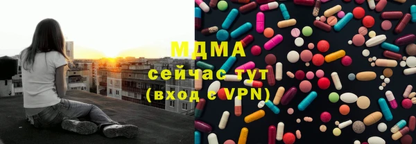 сатива Новодвинск