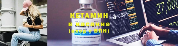 сатива Новодвинск