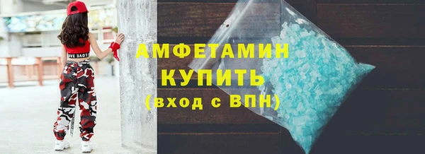 сатива Новодвинск