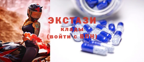 сатива Новодвинск