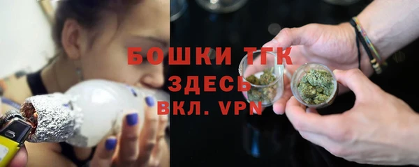 сатива Новодвинск