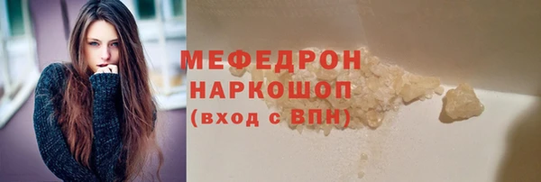сатива Новодвинск
