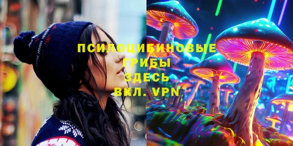 ешки Алапаевск