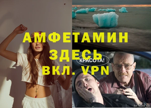 сатива Новодвинск