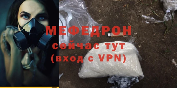 сатива Новодвинск