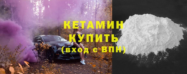 сатива Новодвинск