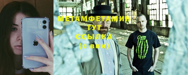 сатива Новодвинск