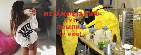 сатива Новодвинск