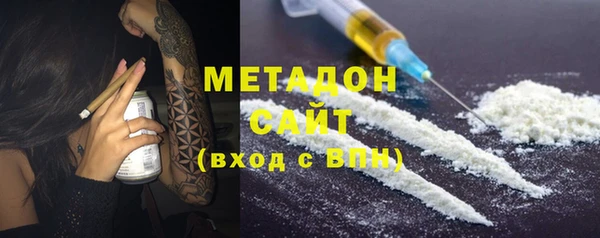 сатива Новодвинск